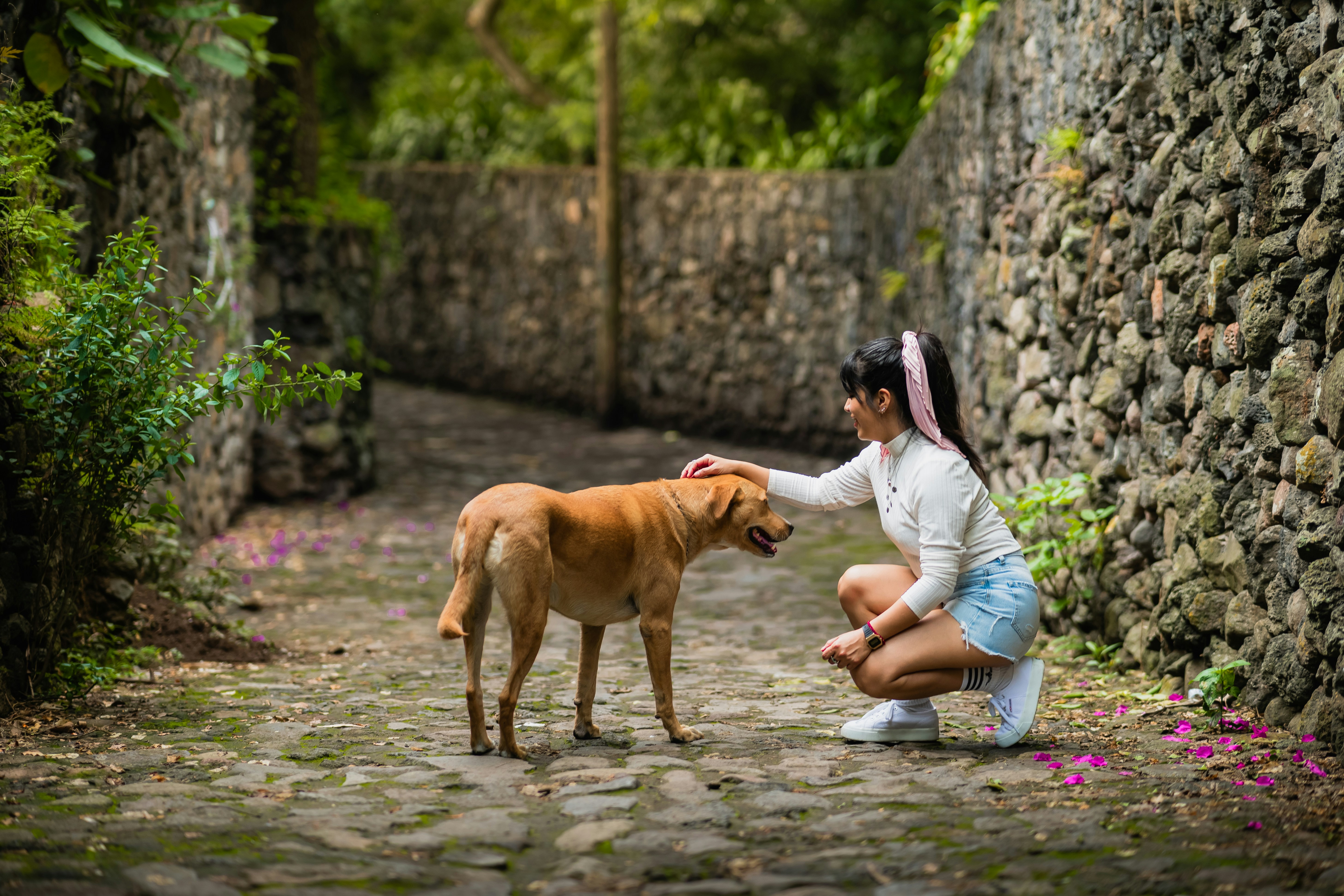 Les Promenades Mindfulness avec Votre Chien : Améliorez votre Santé et Votre Lien